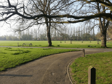 Screen Shot 2020-07-15 at 10.23.27