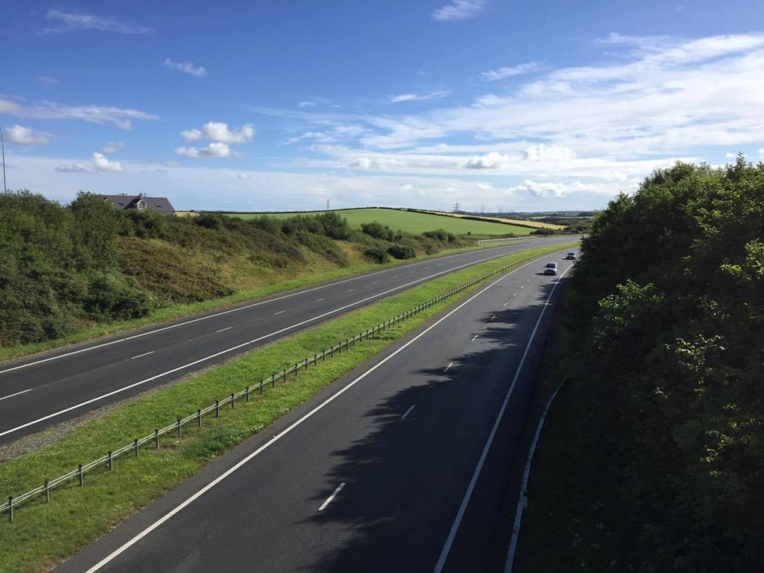 20316908_456805444692603_122683743_o