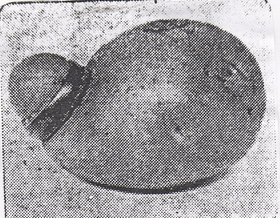 Screen Shot 2018-02-05 at 18.49.11