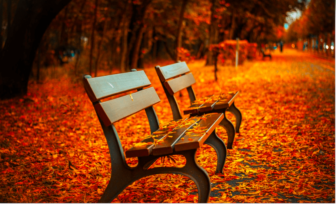 Screen Shot 2018-10-19 at 09.51.56.png