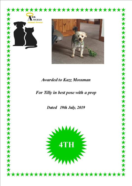 64672971_728411697614919_8556232069527633920_o