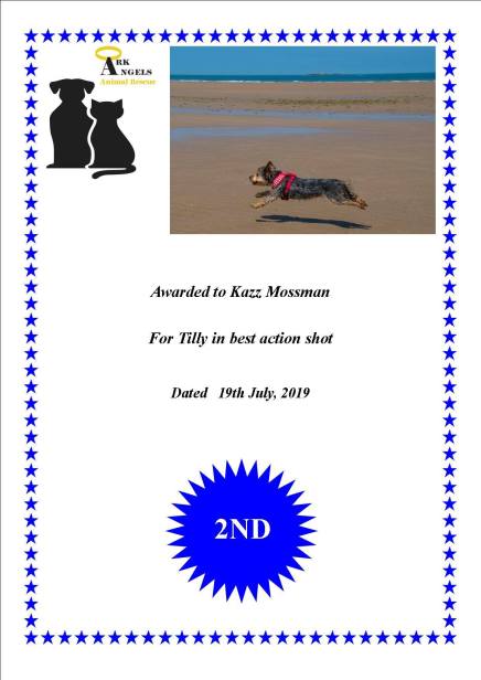 67299142_728442927611796_403468867008987136_o