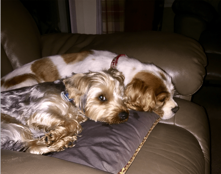 Screen Shot 2019-07-03 at 18.00.31.png