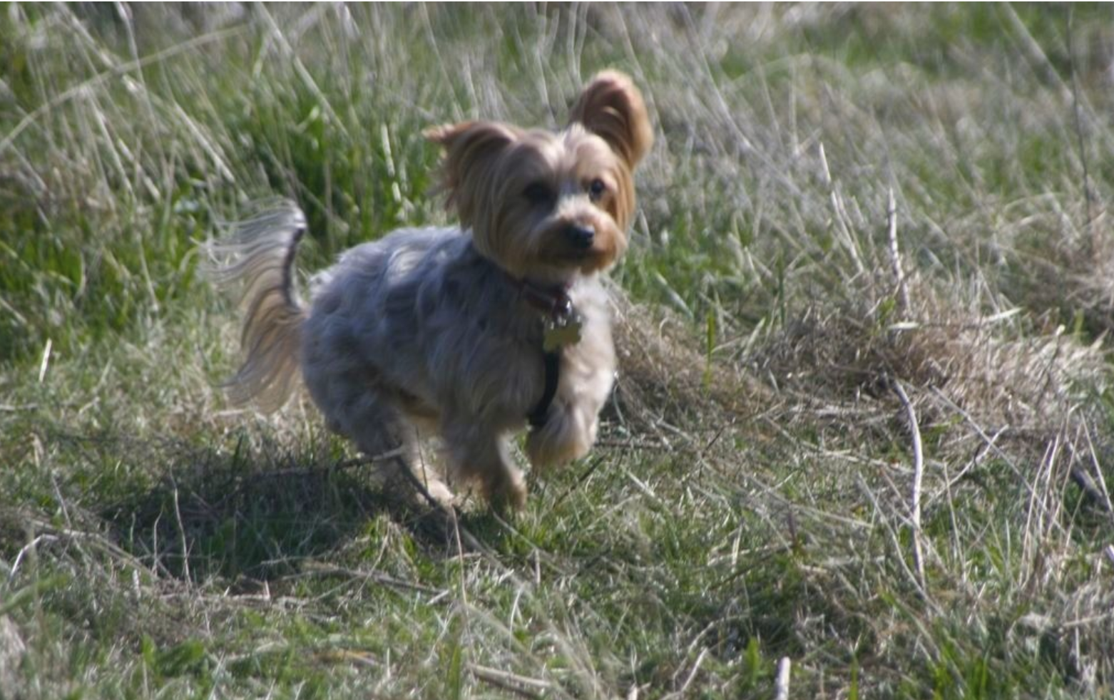 Screen Shot 2020-07-05 at 18.51.45