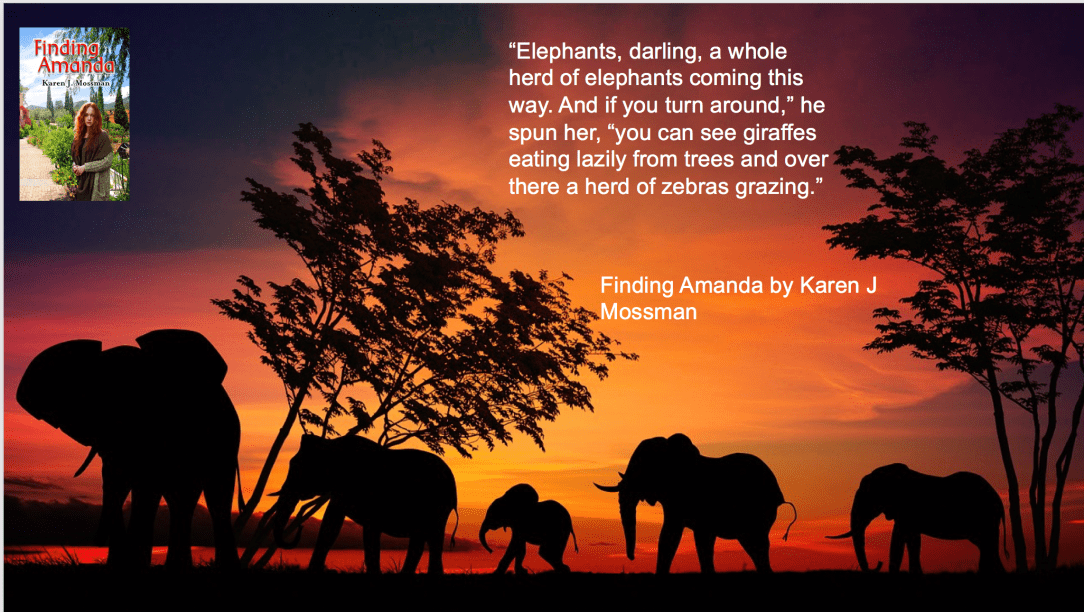 Screen Shot 2020-02-23 at 13.16.11