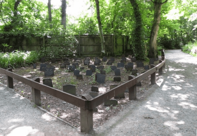 Screen Shot 2020-08-06 at 11.37.37