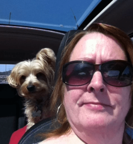 Screen Shot 2020-08-06 at 11.50.35